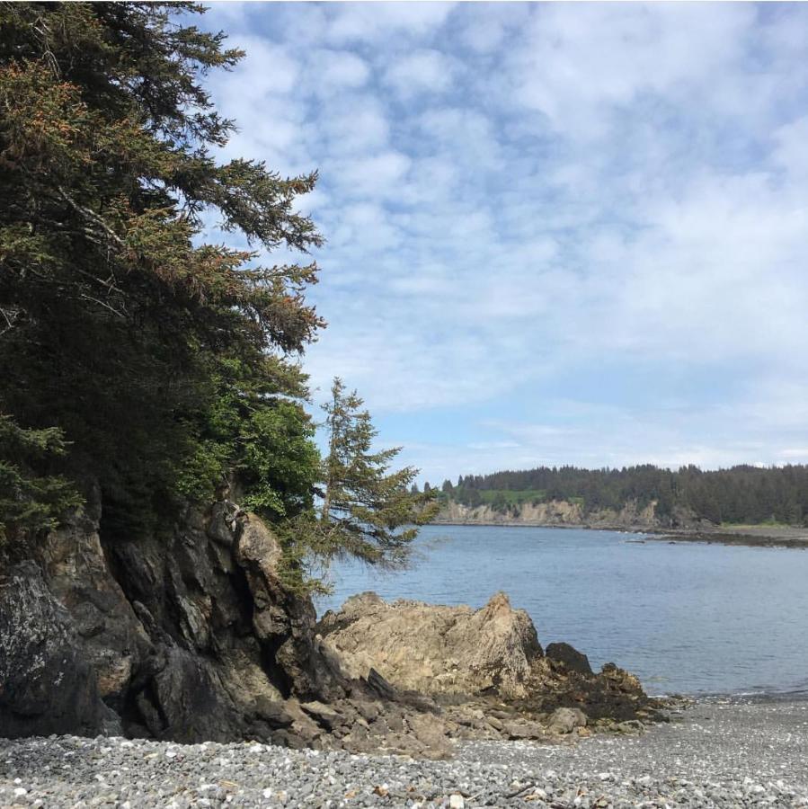 Sea Parrot Inn Seldovia 외부 사진